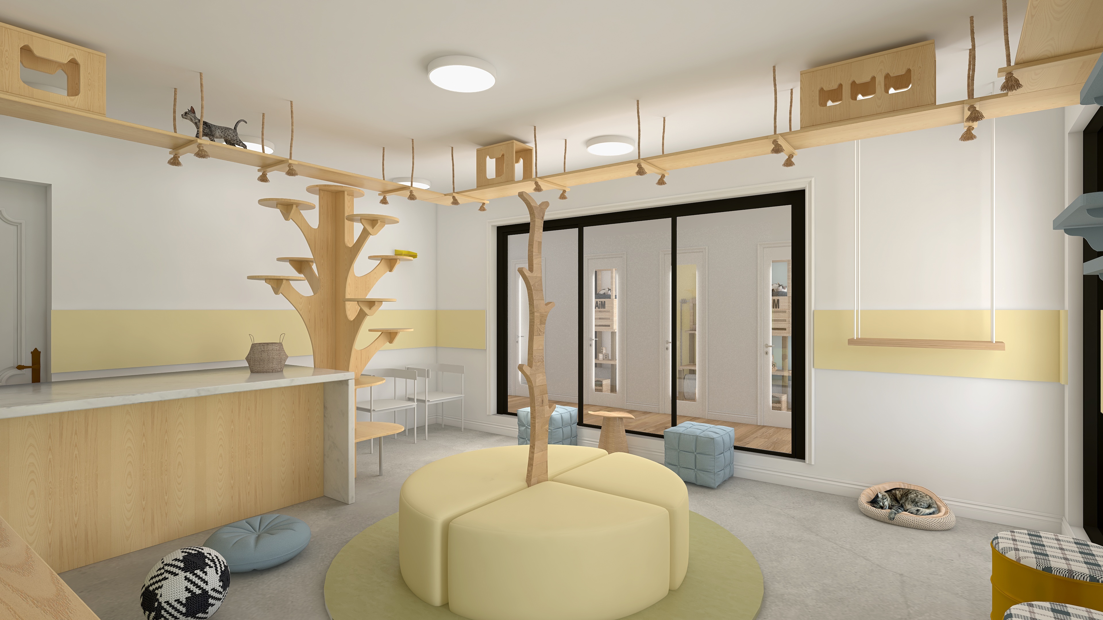 #HSDA2021Commercial Cat Lounge