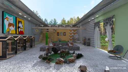 Cat's Display Window