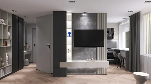 Dmitry's apartment in gray