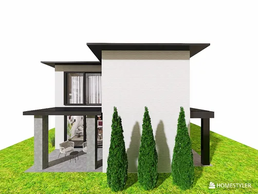 the white an black house