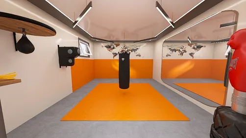 Small Home Boxing/MMA Gym