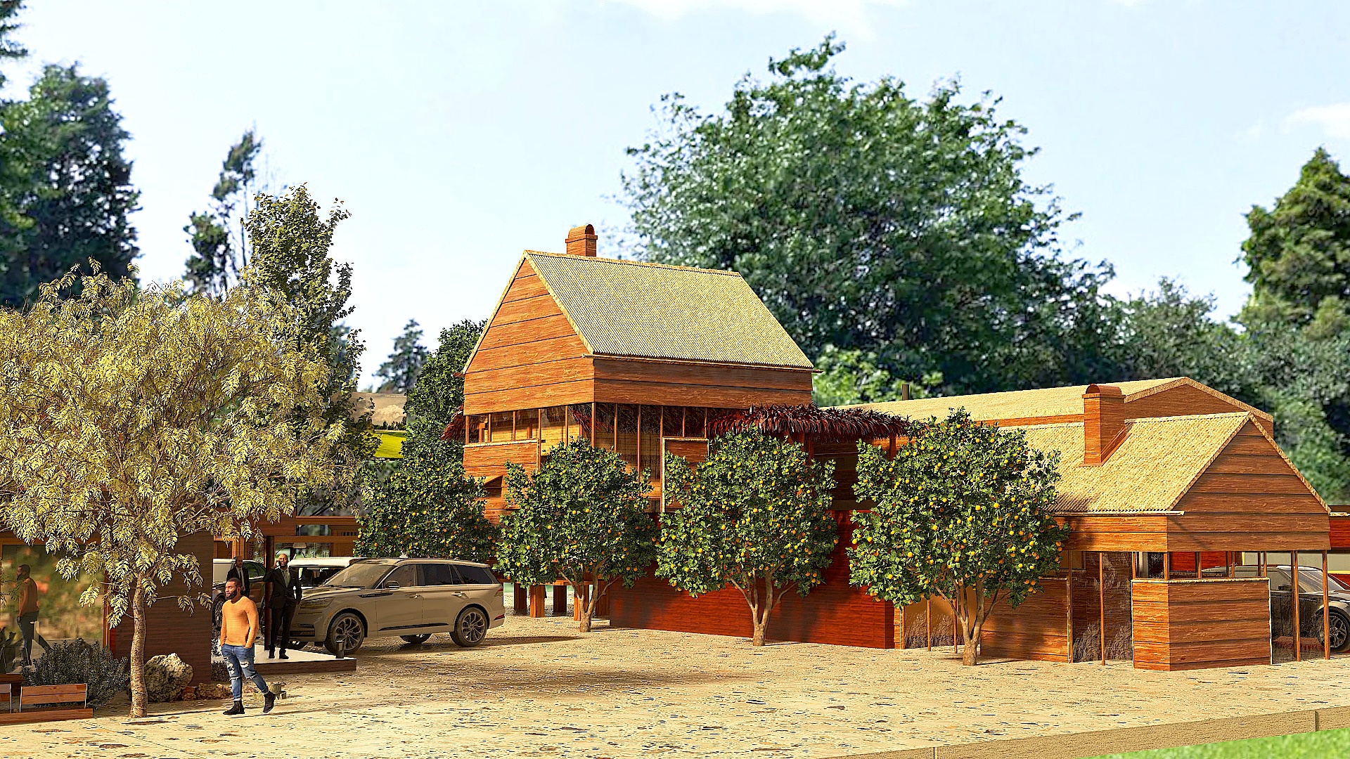 DOM HOUSE 06.02/2025