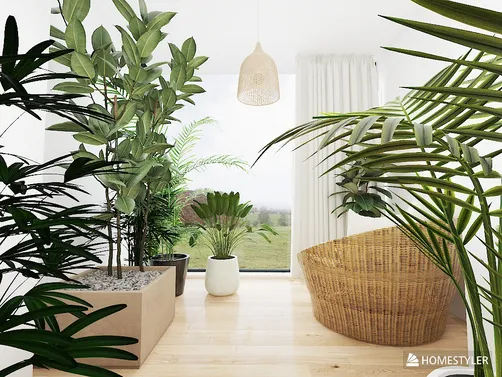 Indoor plants arrangement enhancing natural light in a minimalist living space with a cozy seating area, utilizing Homestyler's real-time 3D rendering feature.